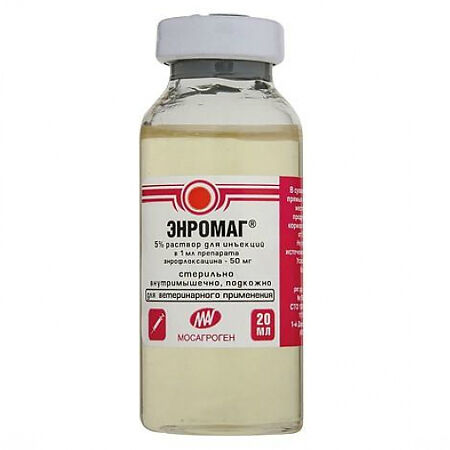 450_450_1_424d6b8eae267d97d44818bd740bd344