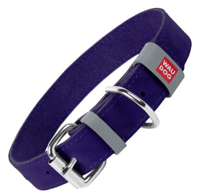 PIC1_8_34fb5100-b1b0-4177-adc2-eedde05b8cd5_1024x1024