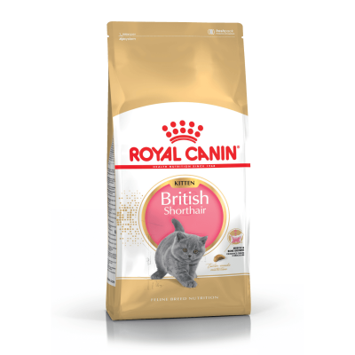 Royal Canin British Shorthair Kitten