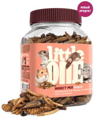 7859663254178596666254536000-600x600