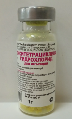 Снимок экрана 2025-03-27 142801