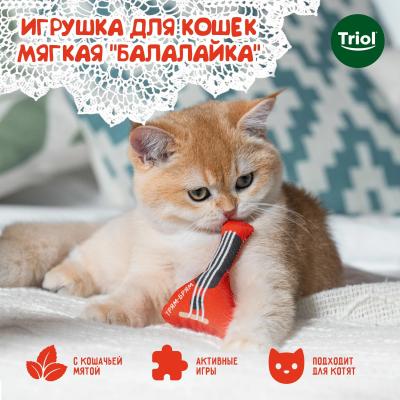 Безымянный