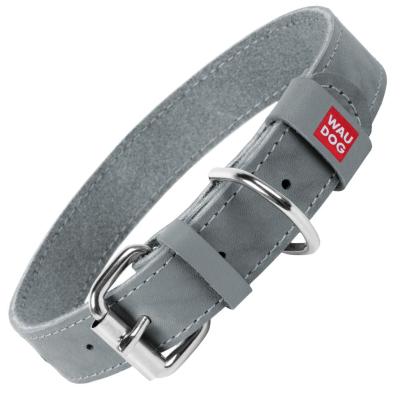 alpiiskie-luga-trava-dlya-gryzunov