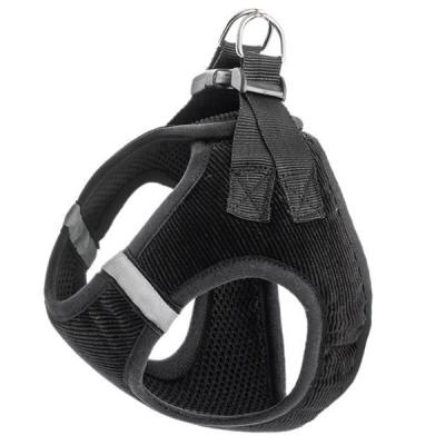 igrushka_dlya_koshek_glory_life_quot_mekhovoy_osminog_naturalnaya_norka_quot_na_kartone_s_evroslotom_draznilka_1627455199_1