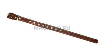 Снимок экрана 2025-05-06 173446