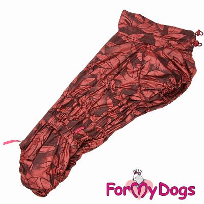 cef3fdd8-95f9-11ec-b330-1c6f65560822_1