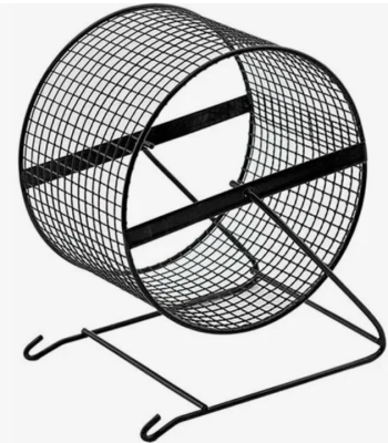 Снимок экрана 2025-03-27 114047