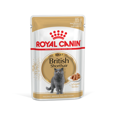 Royal Canin British Shorthair Adult в соусе