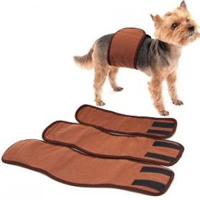 81da1fe0_7674_11e5_943a_42f2e9da4fe1_781e362c_0fcf_11ec_95d2_40f2e9da4fe5.resize1