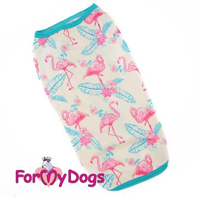 62e4f417-ee91-11e9-813d-1c6f65560822_1