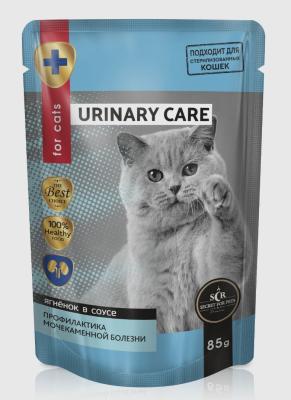 WhatsApp Image 2024-01-28 at 15.12.16