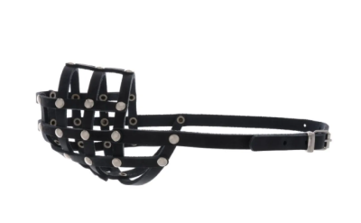 Снимок экрана 2025-05-07 155056