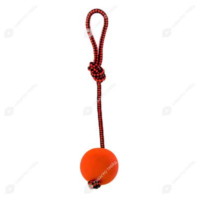 de23637d88446f3c2b3fcd1c9550e458