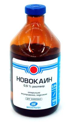 878752369_w640_h640_yami-yami-yami-yami-podstilka