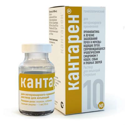 450_450_1 - 2021-02-10T144742.261