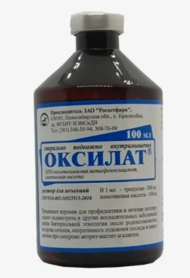 Снимок экрана 2025-03-27 142555