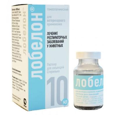 450_450_1 - 2021-02-10T144956.451