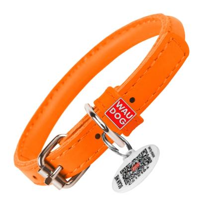 2833804068_w640_h640_2833804068