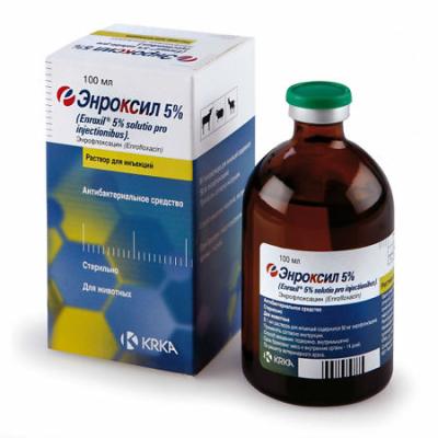 450_450_1 - 2021-02-08T125658.306