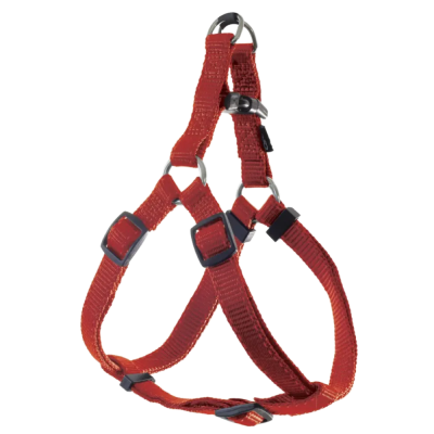 s5nqxnzrdhjn38atdbhj92epvcvfdkii