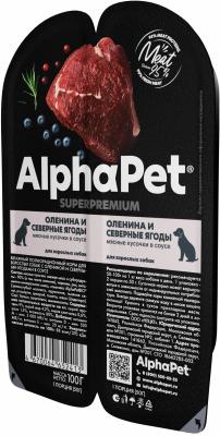 Безымянный