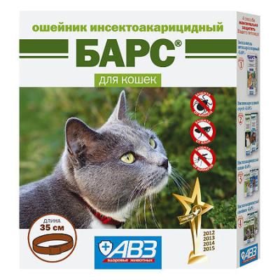 450_450_1 - 2021-02-04T150102.534