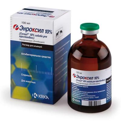 450_450_1 - 2021-02-08T105822.906