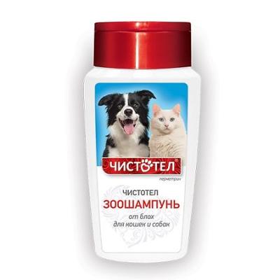 450_450_1 - 2021-02-04T222053.544