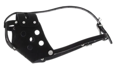 Снимок экрана 2025-05-08 153157