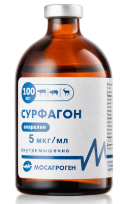 Снимок экрана 2025-03-27 151414