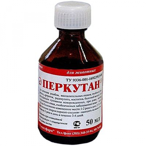 ca7_ca779c99bdbd897fef44c854231ca11b