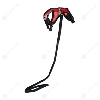 39b4baecacfff7341a66d357d55829e8