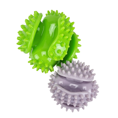 20250630_121328-Photoroom