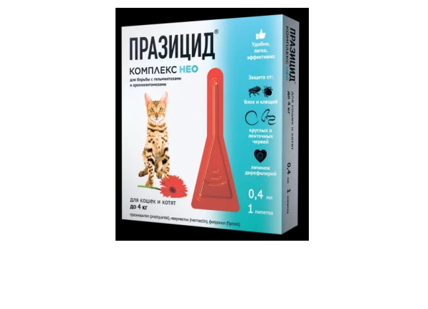 Безымянный