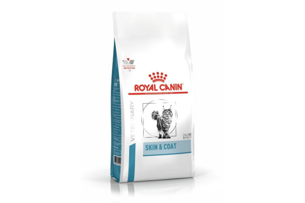 product-104294-1200x800