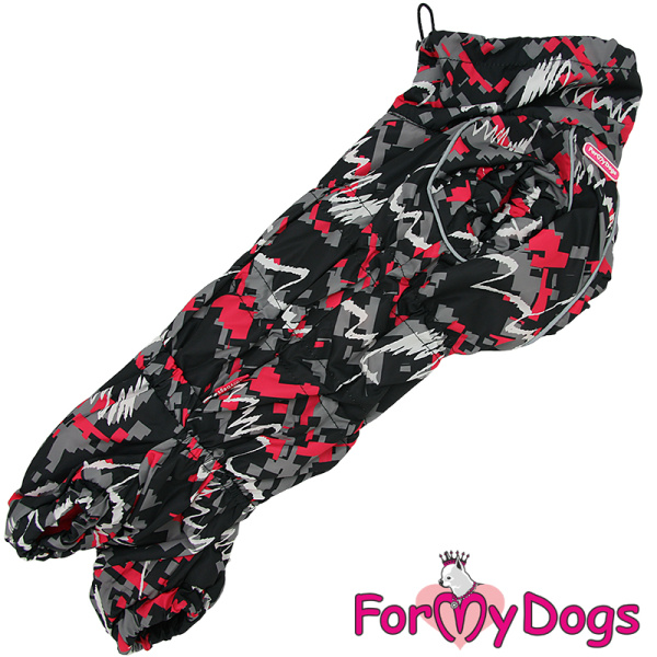 1ff87da4-2bb3-11ee-8039-829396d91151_2